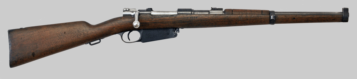 Image of Argentine M1891 Cavalry Carbine.